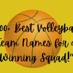 Volleyball Team Names