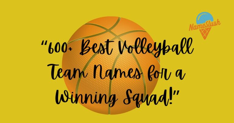 Volleyball Team Names